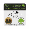 Nasiona drzewa Świerk thanxx® "Plant a tree"